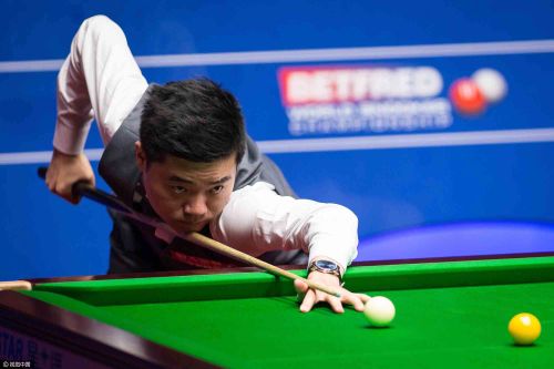 整个回合体 整个回合体